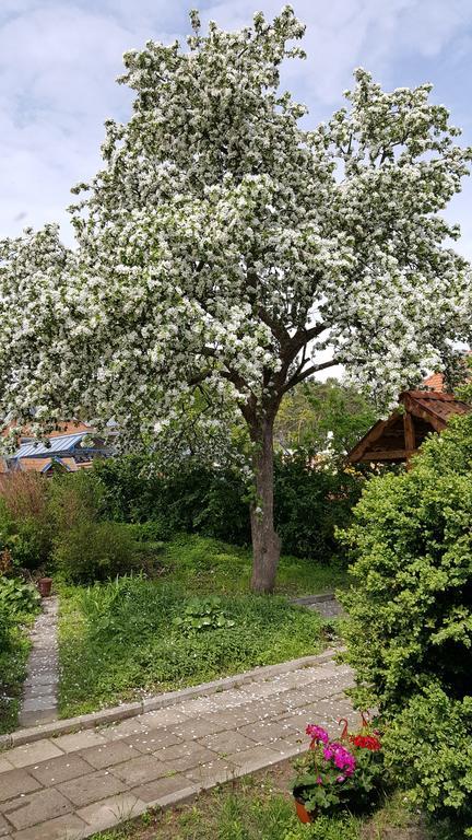 Ferienwohnung Nidos Rojus Exterior foto